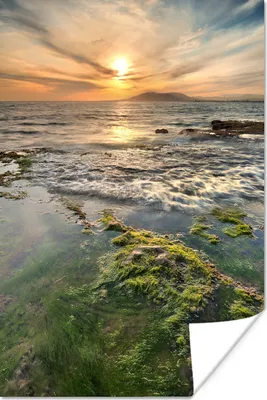 Produktbild von MuchoWow® Poster Spanien - Wasser - Sonne 80x120 cm - Papierdruck
