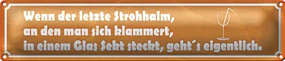 Produktbild von Blechschild Spruch 46x10cm wenn der letzte Strohhalm Sekt Dekoration