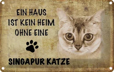 Produktbild von vianmo Blechschild 12x18 cm Singapur Katze ohne kein Heim Tier Haustier