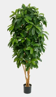 Produktbild von artplants.de Deko Schefflera, getopft, grün, 170cm - Kunstpflanzen Schefflera - Textilpflanzen