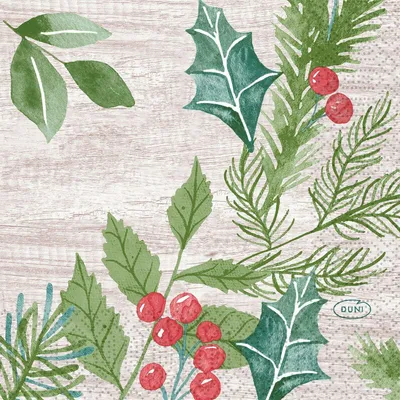 Immagine prodotto di Tovaglioli Duni Winter Greenery 24x24cm 3 veli 50 pz
