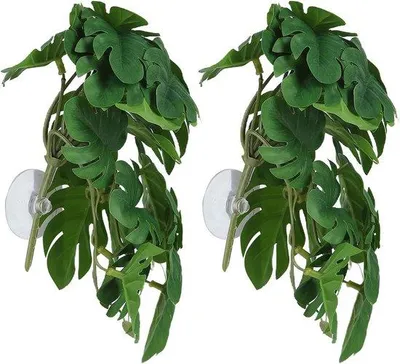 Produktbild von Kunststoffpflanze mit Saugnapf für Terrarien und Aquarien Schildpadblatt