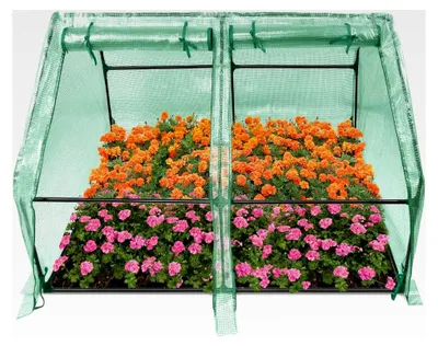 Produktbild von Kleines Gewächshaus 140g/m² HDPE 180x90x90cm mit 2 Rolltüren, Regenschutz, UV-beständig und frostbeständig für Garten und Balkon (Grün)