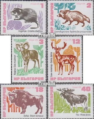 Produktbild von Briefmarken Bulgarien 1973 Mi 2248-2253 (kompl.Ausg.) postfrisch Tiere
