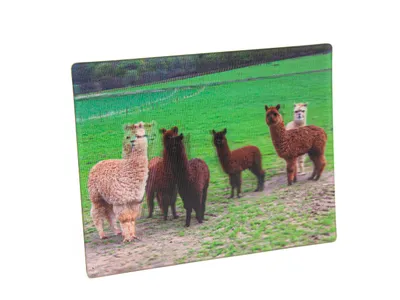 Produktbild von Cornelissen 1037544 Alpaka 3D-Magnet