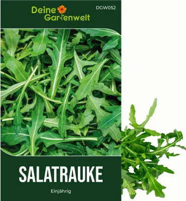 Produktbild von Salatrauke Einjährig Samen - Eruca sativa - Salatraukesamen - Gemüsesamen - Saatgut für 200 Pflanzen