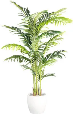 Obrázek produktu pro Umělá rostlina palma Howea Kentia 160 cm zelená