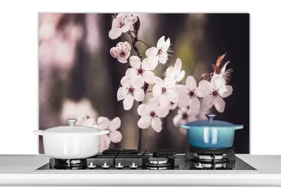 Obrázok produktu pre KitchenYeah® Splashback kitchen - Kuchynský splashback - Ochrana steny sporáka a drezu - Kvety - Biela - Príroda - Rastlina - Kvet 100x65 - Alu-Dibond (alternatíva skleneného splashbacku) - Tepelne odolný