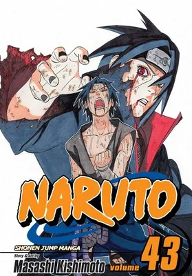 Zdjęcie produktu dla Naruto, Vol. 43