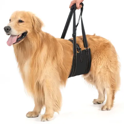Produktbild von Solidchoice – Tragehilfe für Hunde, Unterstützung für die Hinterbeine von Hunden mit Bewegungseinschränkungen