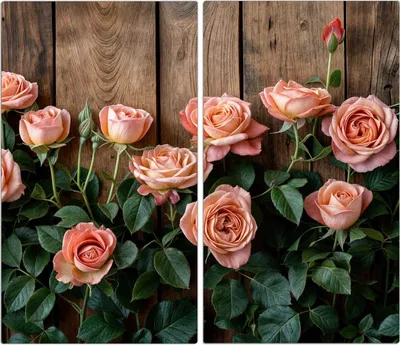Produktbild von Spritzschutz Herdabdeckplatte Schneidebrett aus Glas Rosen Holzhintergrund 2-Teilig (60x52cm)