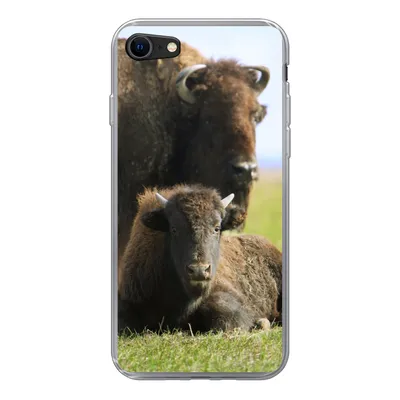 Produktbild von MuchoWow® Handyhülle Schutzhülle Hülle für iPhone 8 Büffel - Gras - Kalb Silikon Softcase Handy Hülle - Schutzhaube