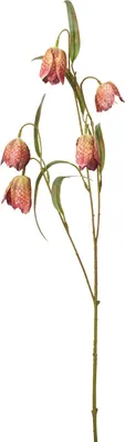 Zdjęcie produktu dla Sztuczna gałązka z jagodami (ręcznikowiec), 59 cm – czerwona, H&L