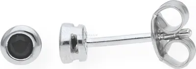 Produktbild von JuwelmaLux Ohrstecker 925 Silber JL10-06-1557
