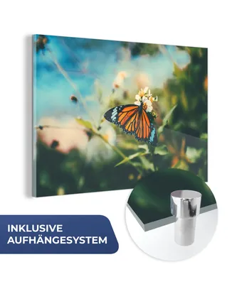 Obrázok produktu pre MuchoWow® Sklenené obrazy - Obrazy na stenu - Foto na skle Motýľ - Kvety - Záhrada 60x40cm Nástenná dekorácia zo skla - akrylový sklenený obraz - akrylové