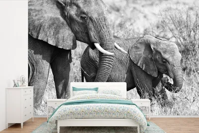 Produktbild von MuchoWow® Fototapete für Wohnzimmer oder Schlafzimmer Wandtapete Vinyl Motivtapete Elefantenbaby und seine Mutter in Kenia in schwarz-weiß - 390x260 cm - Papiertapete