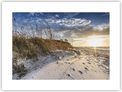 Produktbild von Poster - Poster ohne Rahmen - Sand Gras Meer - 40x30 cm - Wand Bild - Wanddeko - Wandbilder - Kunstposter - Wandposter - Bilder - Kunstdruck - Wanddekoration - Wandbild - P2XAA40x30-4781