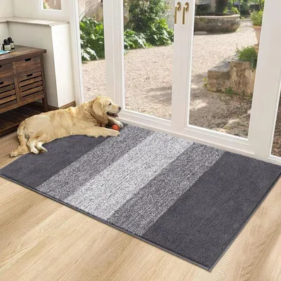 Produktbild von Fußmatte Innen & Außen Grau 60 x 90 cm Saugstark Rutschfest Mikrofaser