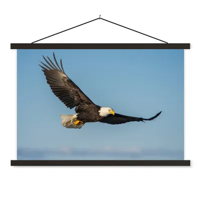 Produktbild von MuchoWow® Textilposter Vogel - Adler - Raubvögel 60x40 cm mit schwarzem Rahmen - Hölzernes
