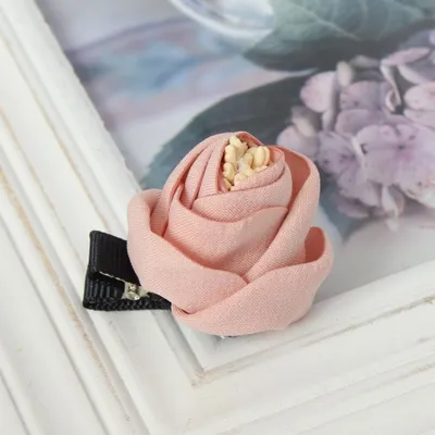 Produktbild von Rosen Haarklammer Blüten in der Farbe Altrosa