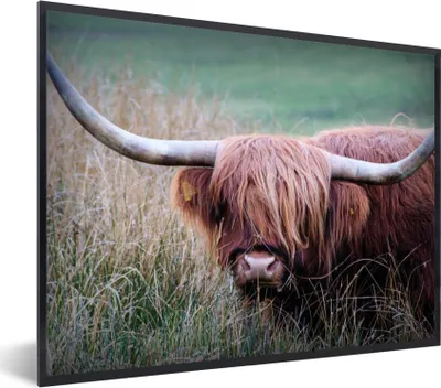 Produktbild von MuchoWow® Gerahmtes Poster Schottischer Highlander - Hörner - Gras 40x30 cm - Poster mit Schwarzem Bilderrahmen Wandposter Rahmen Foto Bilder - Kunstposter - Wanddekorationen