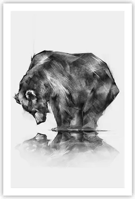 Produktbild von Poster - Poster ohne Rahmen - Bär Tier - 61x91,5 cm - Wand Bild - Wanddeko - Wandbilder - Kunstposter - Wandposter - Bilder - Kunstdruck - Wanddekoration - Wandbild - P2XPA61x91-3921