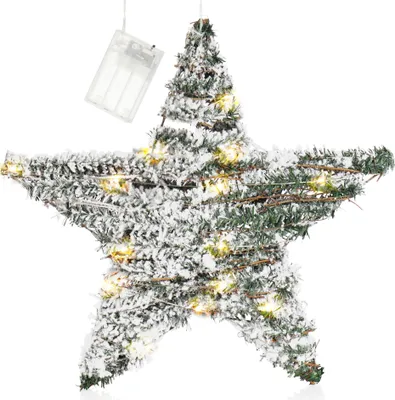 Obrázok produktu pre com-four® Umelá poinsettia so snehom a osvetlením a časovačom, hviezda s umelým snehom a 30 teplými bielymi LED diódami, vianočná dekorácia