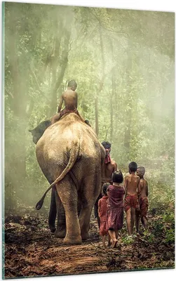 Produktbild von Bilder auf glas - Einteilig - Elefant Dschungel Nebel - 50x70cm - Glasbilder - Wandbilder - Bilder - zum Aufhängen bereit - Wanddekoration aus Glas - Glas Bilder - Wandbild auf Glas - GPA50x70-3438