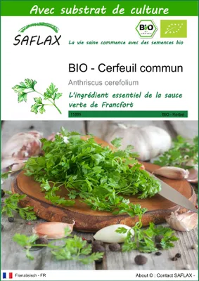 Image de SAFLAX  -- Cerfeuil commun - 800 graines - Avec substrat - Anthriscus