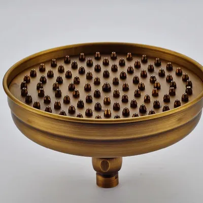 Obrázek produktu pro Sprchová hlavice Regendusche – kulatá, pevná sprchová hlavice o průměru 20 cm – mosaz – montáž na stěnu – kartáčovaná – mosaz s patinou