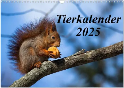 Produktbild von Tierkalender 2025 (Wandkalender 2025 DIN A3 quer), CALVENDO Monatskalender
