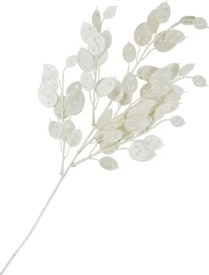 Produktbild von Lunaria Zweig mit Glitzer, L 45cm