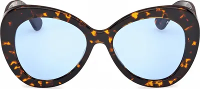 Image de Lunettes de soleil pour femme Pucci EP0232 Dark Havana 56/18/140