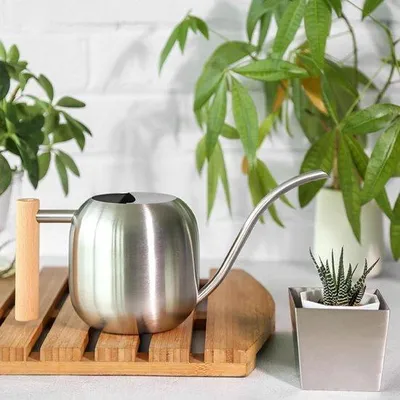 Image de Arrosoir en acier inoxydable de 12 l, manche en bois, long, pour plantes d'intérieur, argenté