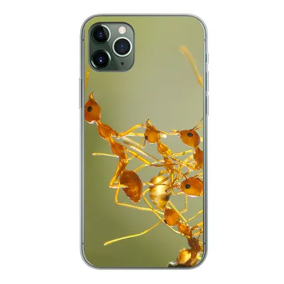 Produktbild von MuchoWow® Handyhülle Schutzhülle Hülle für iPhone 11 Pro Max Ameisen - Orange - Tiere Silikon Softcase Handy Hülle - Schutz