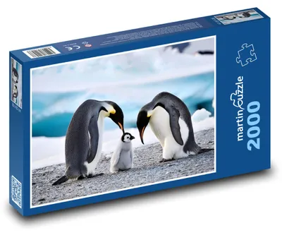 Obrázek produktu pro martinpuzzle - Puzzle 2000 - Tučňáci - rodina