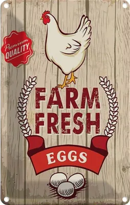 Produktbild von vianmo Blechschild 18x12 cm Huhn farm fresh eggs premium