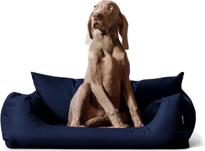Produktbild von tierlando NEMO Hundebett Hundesofa S M L Hundekorb Katzenbett 65 80 100cm - Größe: 65x50cm | Farbe: 25 Navy Dunkelblau