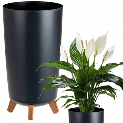 Produktbild von Prosperplast Blumentopf | Gracia Tubus Slim | Anthrazit | 24 cm