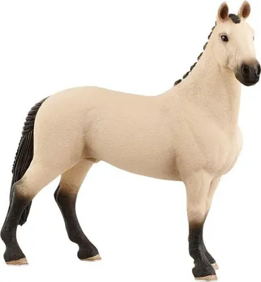 Produktbild von Horse Club Hannoveraner Wallach, Falbe