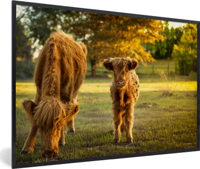 Produktbild von MuchoWow® MuchoWow® Gerahmtes Poster Schottisches Hochlandrind - Kalb - Herbst 90x60 cm - Poster mit zchwarzem Bilderrahmen - Fotorahmen - Foto-Plakat