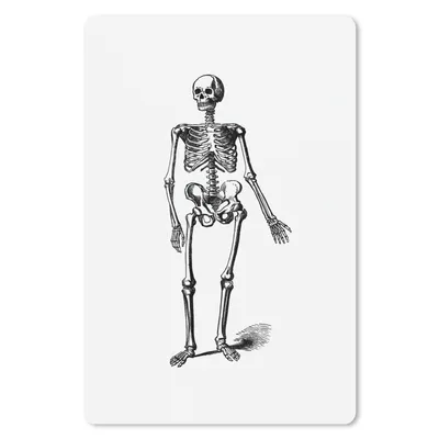 Produktbild von MuchoWow® Mauspad Mousepad Jahrgang - Skelett - Anatomie 18x27 cm - Mousepads - Maus Mat - Pad - Mausunterlage