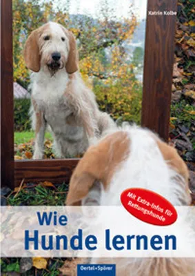 Produktbild von Wie Hunde lernen