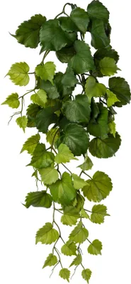 Produktbild von Hängezweig mit Pappelblättern, künstlich, aus grünem Kunststoff, 78 cm lang