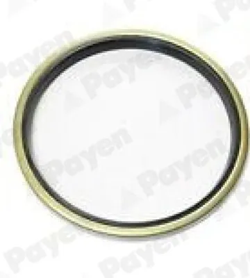 Produktbild von PAYEN Wellendichtring Radnabe NJ755 Hinten NBR (Nitril-Butadien-Kautschuk) 127mm 146mm