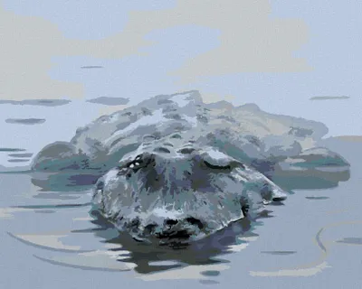 Produktbild von Zuty - Malen nach Zahlen - ALLIGATOR IM WASSER (D. RUSTY RUST), 40x50 cm, ohne Keilrahmen