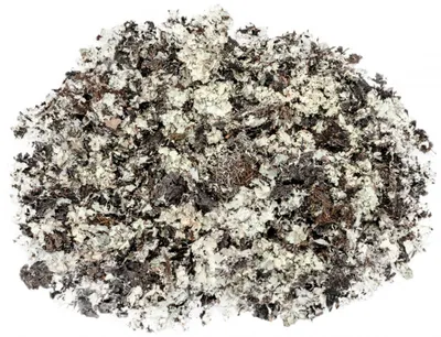 Produktbild von Schwarzes Moos Natur, verpackt im Beutel mit 225g | Parmelia sulcata