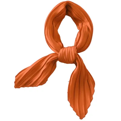 Produktbild von Halstuch ES-33839 in Orange – Stilvoll und Auffällig KP33839