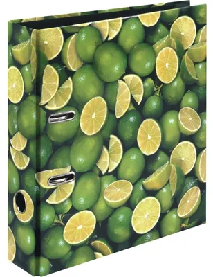 Produktbild von Herlitz maX.file - Aktenordner - Rückenbreite: 80 mm