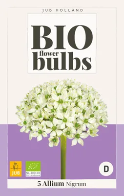 Productafbeelding van Allium nigrum -  JUB, 5 bollen
